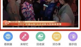 平乐勇哥爆料视频播放全集,事件真相与幕后黑幕