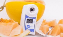 网红吃民勤蜜瓜是真的吗,真相揭秘，网红美食背后的故事